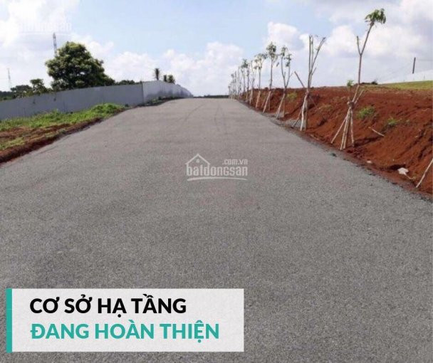 đất Nền Cách Trung Tâm 500m, Sổ Hồng Riêng Biệt, Hạ Tầng đạt Chuẩn ! 4