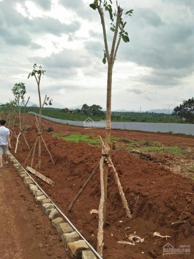 đất Nền Cách Trung Tâm 500m, Sổ Hồng Riêng Biệt, Hạ Tầng đạt Chuẩn ! 7