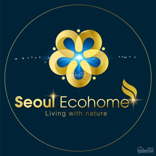 đất Nền Khu Seoul Ecohome Tràng Duệ An Dương, Chỉ Từ 13tr/m2 1