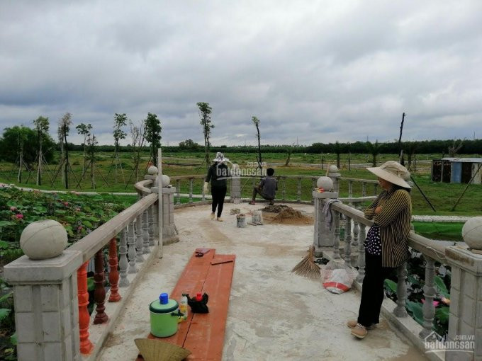 đất Vàng Thành Phố Nhơn Trạch, Ngay Trung Tâm Hành Chính Nhơn Trạch, Sổ Hồng Riêng 2