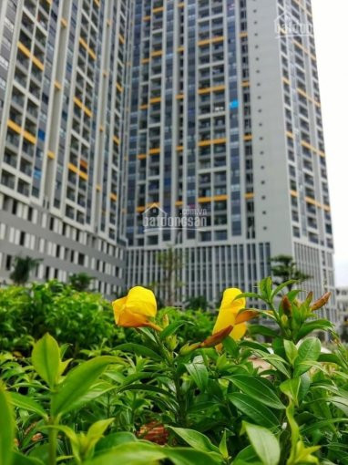 Em Chính Chủ Cần Bán 1 Căn 60m2 The Pega Suite - Giá 2tỷ570 (97%) Full Nội Thất - Lh: 0337335698 1