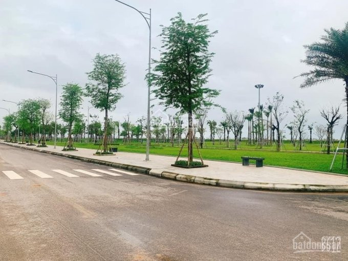 Khai Thông Sông Cổ Cò, Khai Xuân Tân Sửu - Tri ân Kh 10 Lô Liền Kề One World, Vị Trí Hot Nhất Dự án 4