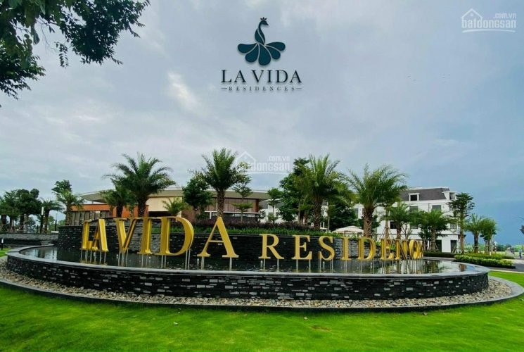 Lavida Residences Vũng Tàu, Booking đặt Chỗ Chọn Vị Trí đẹp 0906707858 1