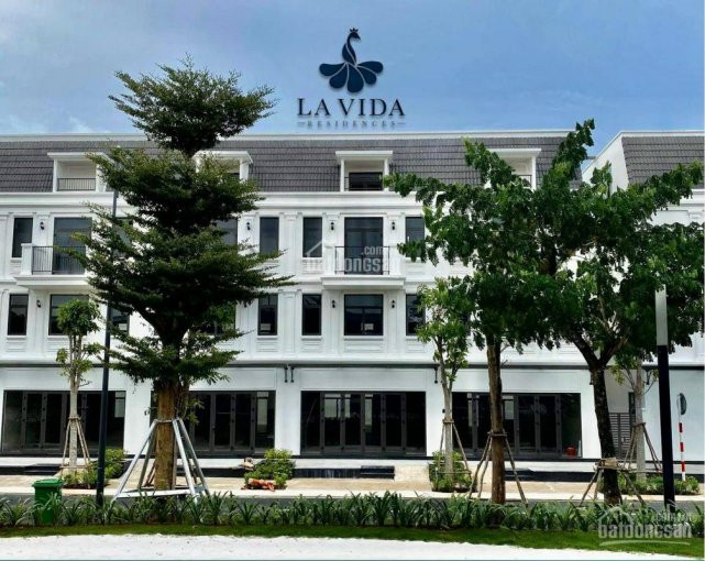 Lavida Residences Vũng Tàu, Booking đặt Chỗ Chọn Vị Trí đẹp 0906707858 7