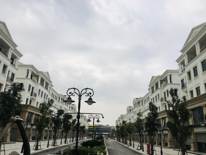 Mở Bán Thương Mại Dịch Vụ Hải âu 16 Vinhomes Ocean Park Báo Giá Trực Tiếp Chủ đầu Tư 0982232472 4