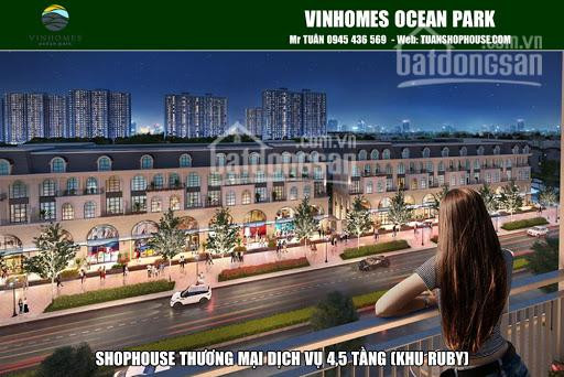 Mở Bán Thương Mại Dịch Vụ Hải âu 16 Vinhomes Ocean Park Báo Giá Trực Tiếp Chủ đầu Tư 0982232472 6