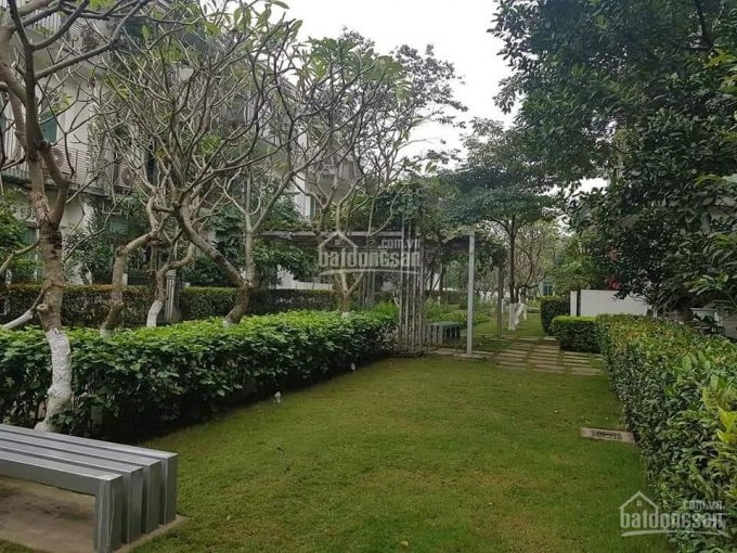 Mr Chung Chuyên Bán Nhà, Mặt Phố ,nhà Kinh Doanh 3