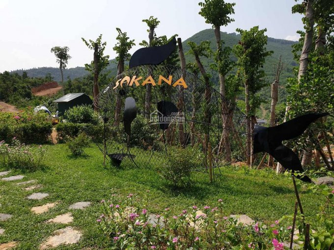 Sakana Resort Hòa Bình - Biệt Thự Nhà Nón Siêu Phẩm độc Bản Duy Nhất Tại Việt Nam 2