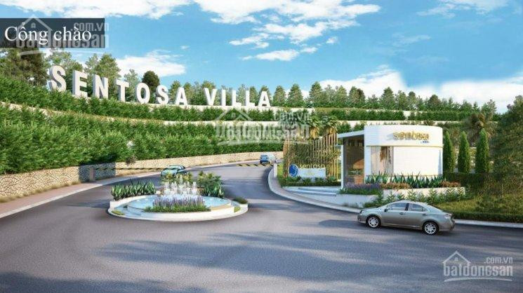Sentosa Villa Phan Thiết 250m2 Giá Từ 9 Tr/m2, Ck 3% Lh 0908235800 để Xem Thực Tế 1
