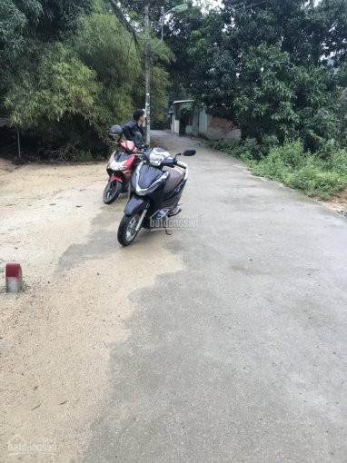 Tổng Hợp Vài Lô Phước đồng Nha Trang Giá Rẻ Tầm 300 Triệu 3