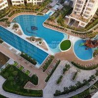 Căn Hot: Giá Chỉ 580 Tỷ Sở Hữu Ngay Căn 2pn Tại Tháp Bahamas, Căn Góc, Tầng Trung View Hồ Bơi