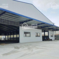 Chính Chủ Bán Nhanh đất Xưởng Mt Lê Thị Trung, Tx Thuận An, Bình Dương, Dt: 42x85m Hậu 45m Dtsd 3732m2, Giá 31tỷ Tl