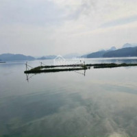 Chính Chủ Bán Nhanh Gấp 7000m2 đất Mặt Hồ Thủy điện Hòa Bình View Tuyệt đẹp Thuộc Cao Phong, Hòa Bình