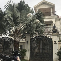 Chính Chủ Cho Thuê Nhanh Biệt Thự đường Hoa Phượng Quận Phú Nhuận 16x16m "thuê Nhà Tặng Chuyển Nhà Miễn Phí"