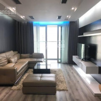 Chính Chủ Cho Thuê Nhanh Căn Hộ Chung Cư Mandarin Garden Hoàng Minh Giám Dt 114m2, 2pn, đủ Nội Thất