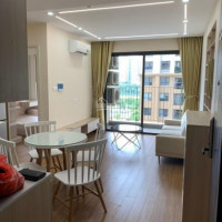 Chính Chủ Cho Thuê Nhanh Căn Hộ Giá Cực Rẻ Vinhomes D'capital- Trần Duy Hưng 2pn Nội Thất Cao Cấp Lh: 0942808864