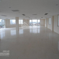 Chính Chủ Cho Thuê Nhanh Văn Phòng Phố Duy Tân, Trần Thái Tông Dt: 100m2, 150m2, 300m2,1000m2, Lh 0856655313