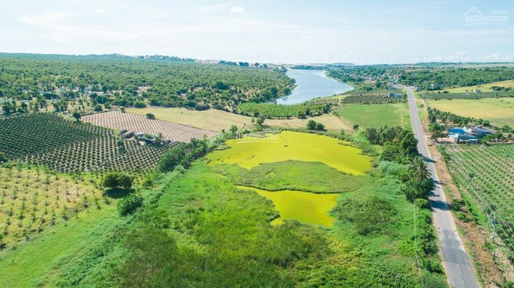 Chính Chủ Bán Nhanh đất Hòa Thắng, Bắc Bình, Sổ đỏ Công Chứng Ngay, Cơ Hội Sinh Lời Kép Lh: 0566666688 4