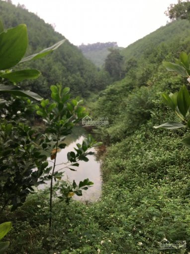 Dt: Gần 50 Nghìn/m2 Chính Chủ Cần Bán Gấp Mảnh đất View Thoáng đẹp Tại Lạc Thủy, Hòa Bình 3