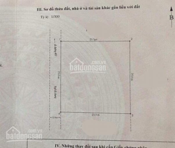 Lô đất Bàng La, đồ Sơn Cực đẹp, Diện Tích 587,5 M2 Vuông Vắn, ô Tô Vào Tận Nơi, Gần Chợ, Gần Trường 2