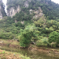 Dt: 6800m2 Chính Chủ Cần Bán Nhanh Gấp Mảnh đất Siêu đẹp Siêu Rẻ Tại Lương Sơn, Hòa Bình
