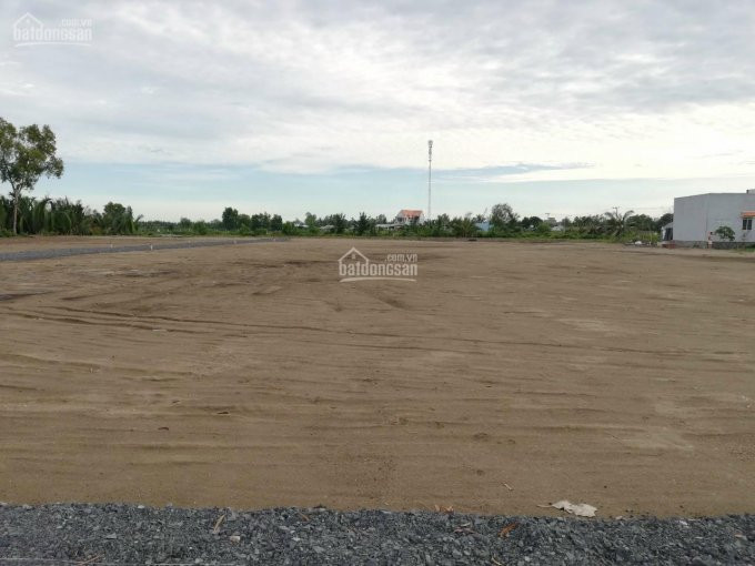 1000m2 đất Lúa đường ô Tô 4m Gần 826c, Phước Lại, Cần Giuộc, Long An 1