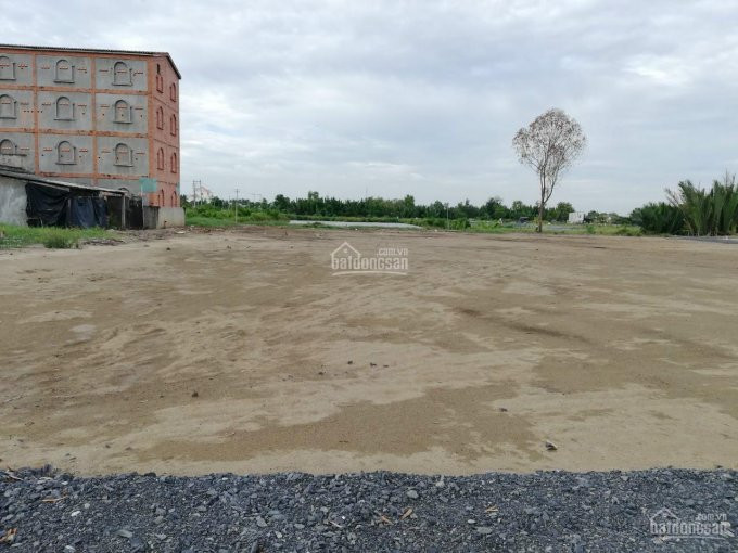 1000m2 đất Lúa đường ô Tô 4m Gần 826c, Phước Lại, Cần Giuộc, Long An 5