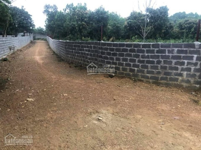 Chỉ 18 Tỷ Có Ngay 2872m đất Trung Tâm Lương Sơn, Hòa Bình, đầu Tư Nghỉ Dưỡng Quá đỉnh 0967882183 2