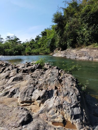 Chính Chủ Bán Nhanh (1886 )m2 đất Nghĩ Dưỡng View Suối Cực đẹp 1