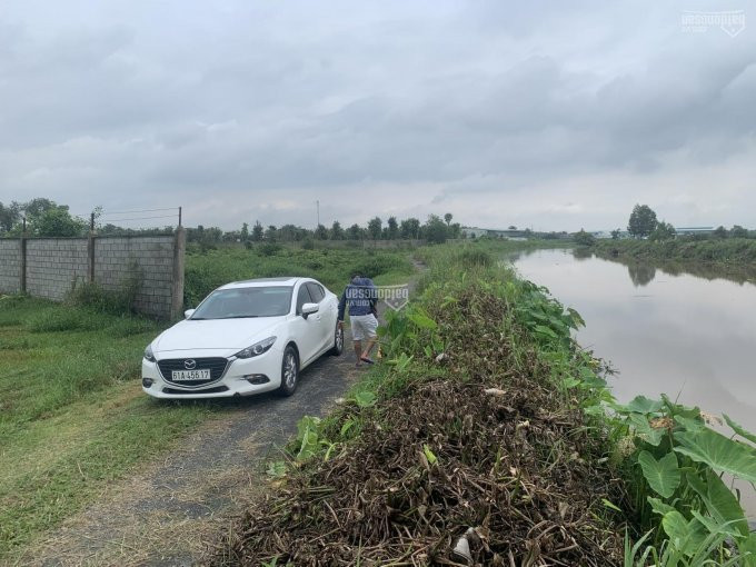 Chính Chủ Bán Nhanh đất Giá Rẻ Mặt Tiền đường Võ Văn Bích (17772m2, Thổ Cư 6500m2) Xã Bình Mỹ, Củ Chi Tphcm 3