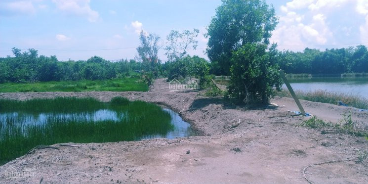 Chính Chủ Bán Nhanh đất Ngay Khu Dân Cư, Shr, Xã An Thới đông, Cần Giờ, Tp Hồ Chí Minh, Giá đầu Tư, Lh 0934695521 3