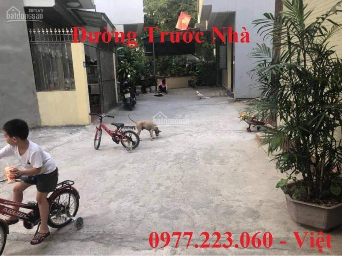 Chính Chủ Bán Nhanh đất Thổ Cư ô Góc Sau Trường Quang Trung Dt: 517m2, Mt: 42m, Hướng đn + Tn 3