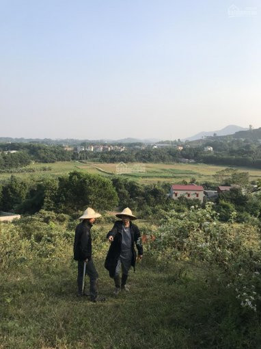 Chính Chủ Bán Nhanh đất Trung Tâm Hòa Lạc đông Xuân 9000m2, đất ở Nông Thôn, Ngoài Quy Hoạch Suluco Giá 16tr/m2 1