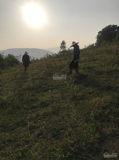 Chính Chủ Bán Nhanh đất Trung Tâm Hòa Lạc đông Xuân 9000m2, đất ở Nông Thôn, Ngoài Quy Hoạch Suluco Giá 16tr/m2 2