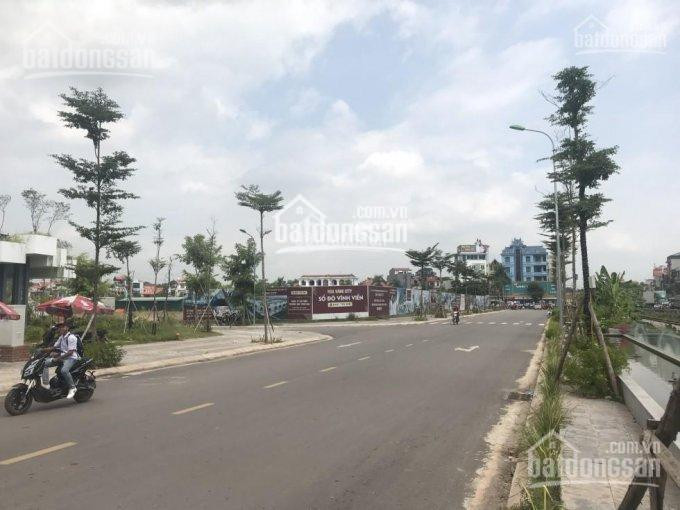 Chính Chủ Bán Nhanh Gấp đất Nền Dự án Rùa Vàng City, Bắc Giang 2