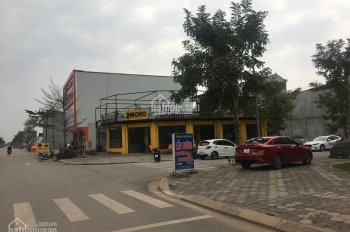 Chính Chủ Bán Nhanh Gấp đất Nền Dự án Rùa Vàng City, Bắc Giang 3