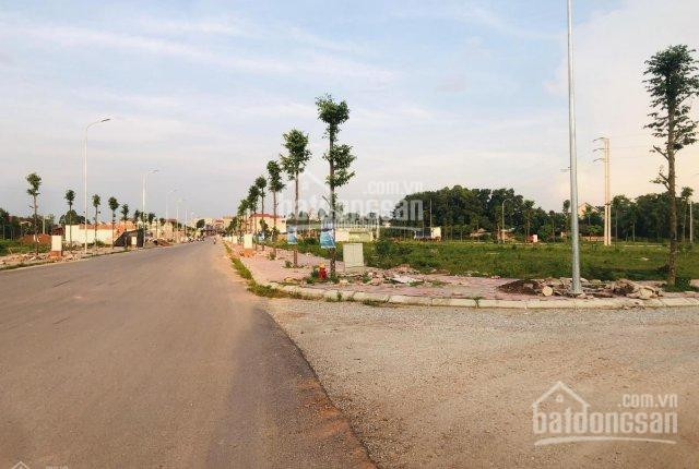 Chính Chủ Bán Nhanh Gấp đất Nền Dự án Rùa Vàng City, Bắc Giang 5