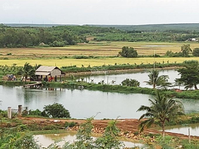 Chính Chủ Bán Nhanh Gấp Hơn 3 Sào đất Mt đường Nhựa View Hồ Suối Môn Tại Long Tân, đất đỏ, Có Bán Riêng Từng Sào 5