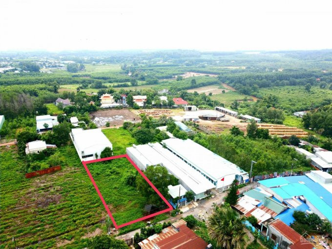 Chính Chủ Bán Nhanh Hơn 1000m2 đất Phước Tân, Cách đường Lớn Bắc Sơn - Long Thành Chỉ 350m 5