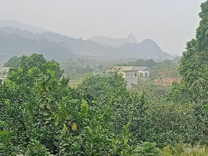 Chính Chủ Cần Bán 2800m2 đất đã Có Tường Bao Xung Quanh Giá đầu Tư Tại Liên Sơn, Lương Sơn, Hòa Bình 1