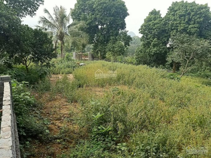 Chính Chủ Cần Bán 2800m2 đất đã Có Tường Bao Xung Quanh Giá đầu Tư Tại Liên Sơn, Lương Sơn, Hòa Bình 2