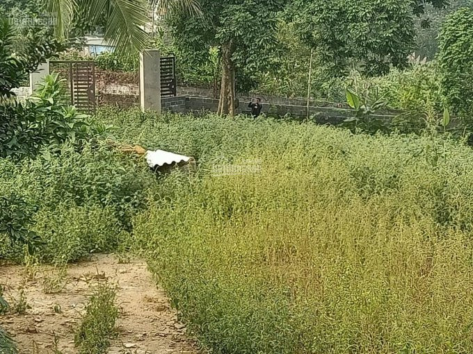 Chính Chủ Cần Bán 2800m2 đất đã Có Tường Bao Xung Quanh Giá đầu Tư Tại Liên Sơn, Lương Sơn, Hòa Bình 3