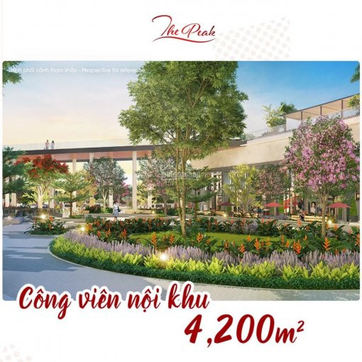 Chính Chủ Cần Bán Gấp Căn Midtown 3pn View Sông, Công Viên Hoa Anh đào Gọi Ngay 0902 48 74 79 4