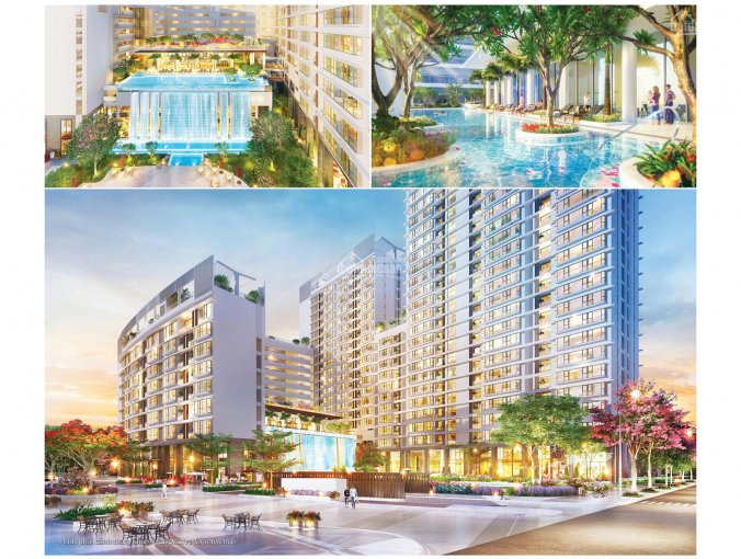 Chính Chủ Cần Bán Gấp Căn Midtown 3pn View Sông, Công Viên Hoa Anh đào Gọi Ngay 0902 48 74 79 6