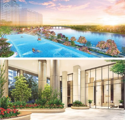 Chính Chủ Cần Bán Gấp Căn Midtown 3pn View Sông, Công Viên Hoa Anh đào Gọi Ngay 0902 48 74 79 8