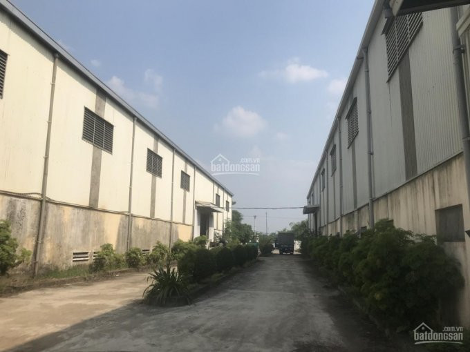 Chính Chủ Cho Thuê Nhanh Kho, Nhà Xưởng Sản Xuất: 300 M2; 500 M2; 1000 M2; 2000 M2 5