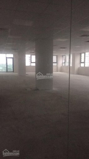 Chính Chủ Cho Thuê Nhanh Văn Phòng Tid Số 4 Liễu Giai, Qba đình 50m2, 90m2, 140m2, 220m2, 330m2, 180 Nghìn/m2/th 1