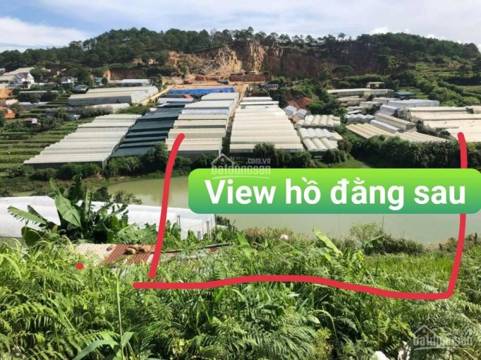 Chính Chủ Sang đất 2 Mt P11 (trước View đồi Thông, Sau View Hồ Lớn) 43 X 33m = 1370m2 10 Tr/m2 2