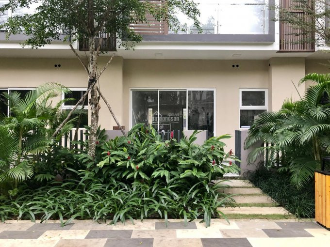 Chuyên Cho Thuê Nhà Compound - Palm Residence, Nắm 100% Giỏ Hàng Cho Thuê Lh: 0909 828 853 4