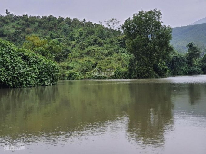 Cơ Hội Lớn Cho Các Nhà đầu Tư đất Mặt Hồ 21700m2 Có 1000m2 đất Thổ Cư Tại Kim Bôi, Hòa Bình 2